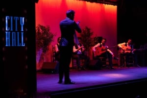 Esperienza di flamenco (masterclass di 30 minuti)