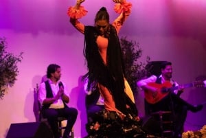 Flamenco-opplevelse (30 minutters mesterklasse)