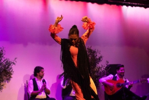 Flamenco Experience (cours de maître de 30 minutes)