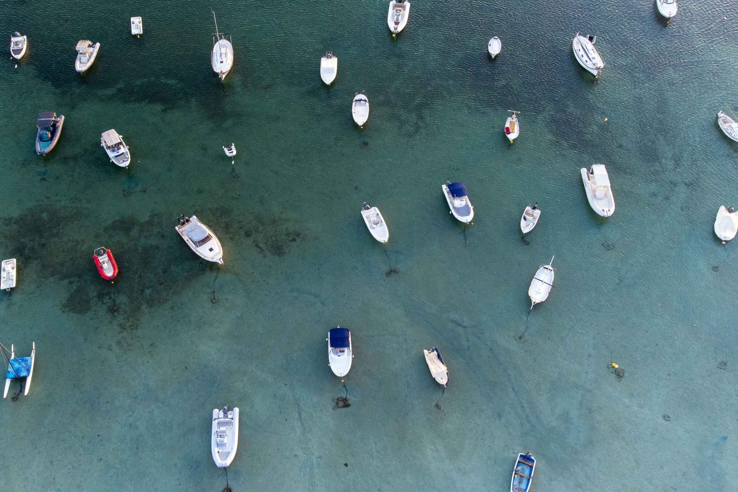 Форментера: частная прогулка на лошадях с трансфером от пляжа