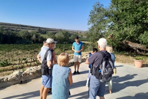 Barcelone : 3 caves du Penedès avec prise en charge à l'hôtel et déjeuner