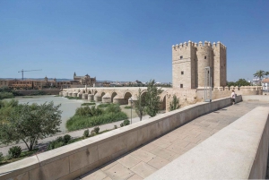 From Barcelona: Andalusia and Toledo 9-Day Tour