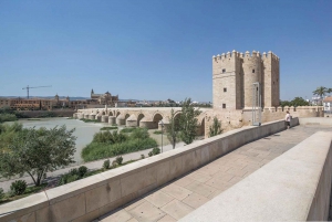 Barcelonasta: Andalusia ja Toledo 9 päivän kiertomatka Barcelonasta: Andalusia ja Toledo