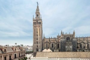 Desde Barcelona: Recorrido de 9 días por Andalucía y Toledo
