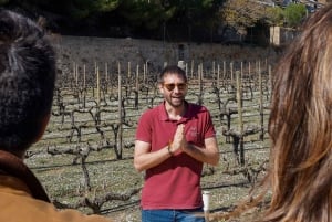 Depuis Barcelone : Excursion en catamaran et visite d'un vignoble avec dégustation