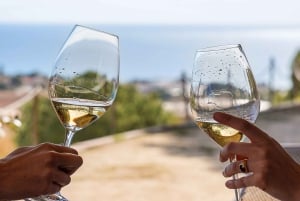 Von Barcelona aus: Katamaran-Tour & Weinkellerbesuch mit Verkostung