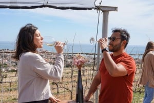 Desde Barcelona: Excursión en Catamarán y Visita a Bodegas con Degustación
