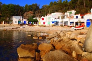 Fra Barcelona: Tur med en lille gruppe til Costa Brava og Girona