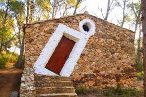 Fra Barcelona: Tur med en lille gruppe til Costa Brava og Girona