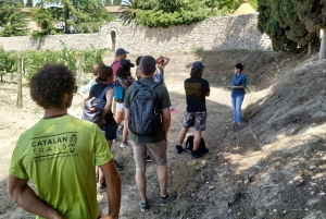 From Barcelona: El Penedès Hike and Wine Tour