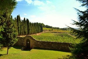 From Barcelona: El Penedès Hike and Wine Tour