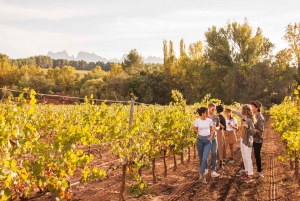 From Barcelona: Full-Day Montserrat & Wine Small Group Tour