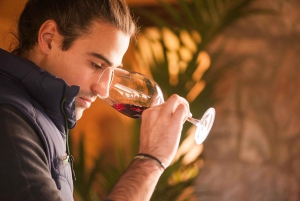From Barcelona: Full-Day Montserrat & Wine Small Group Tour