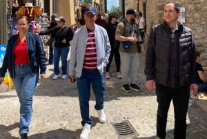 From Barcelona: Girona, Besalú & Medieval Villages Day Trip