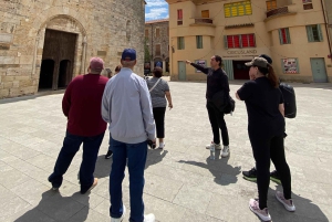 From Barcelona: Girona, Besalú & Medieval Villages Day Trip