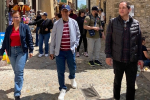 From Barcelona: Girona, Besalú & Medieval Villages Day Trip