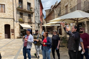 From Barcelona: Girona, Besalú & Medieval Villages Day Trip