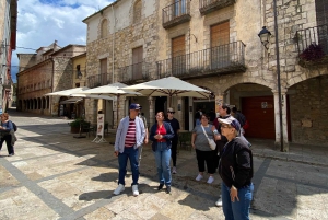 From Barcelona: Girona, Besalú & Medieval Villages Day Trip