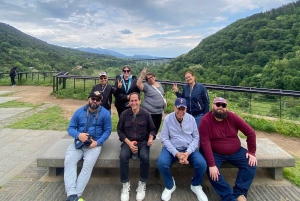 From Barcelona: Girona, Besalú & Medieval Villages Day Trip