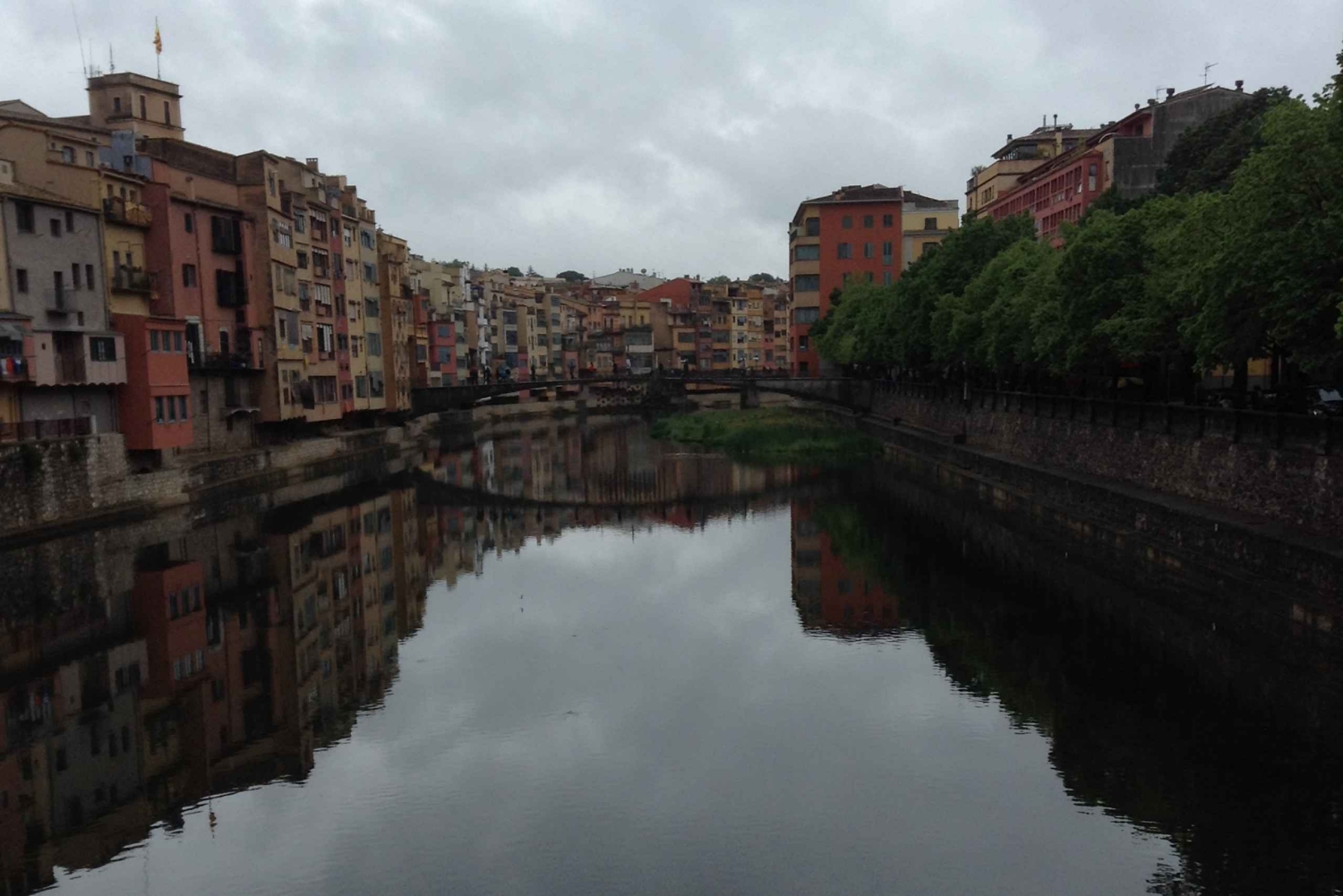 Fra Barcelona: Guidet tur til Girona