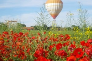 Depuis Barcelone : billet d'une demi-journée pour un vol en montgolfière