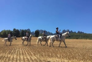 Depuis Barcelone : Excursion à cheval dans le parc national de Montserrat