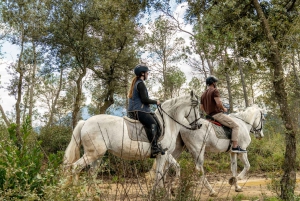 Desde Barcelona: Excursión a caballo por el Parque Nacional de Montserrat