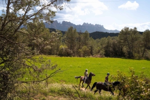 Desde Barcelona: Excursión a caballo por el Parque Nacional de Montserrat