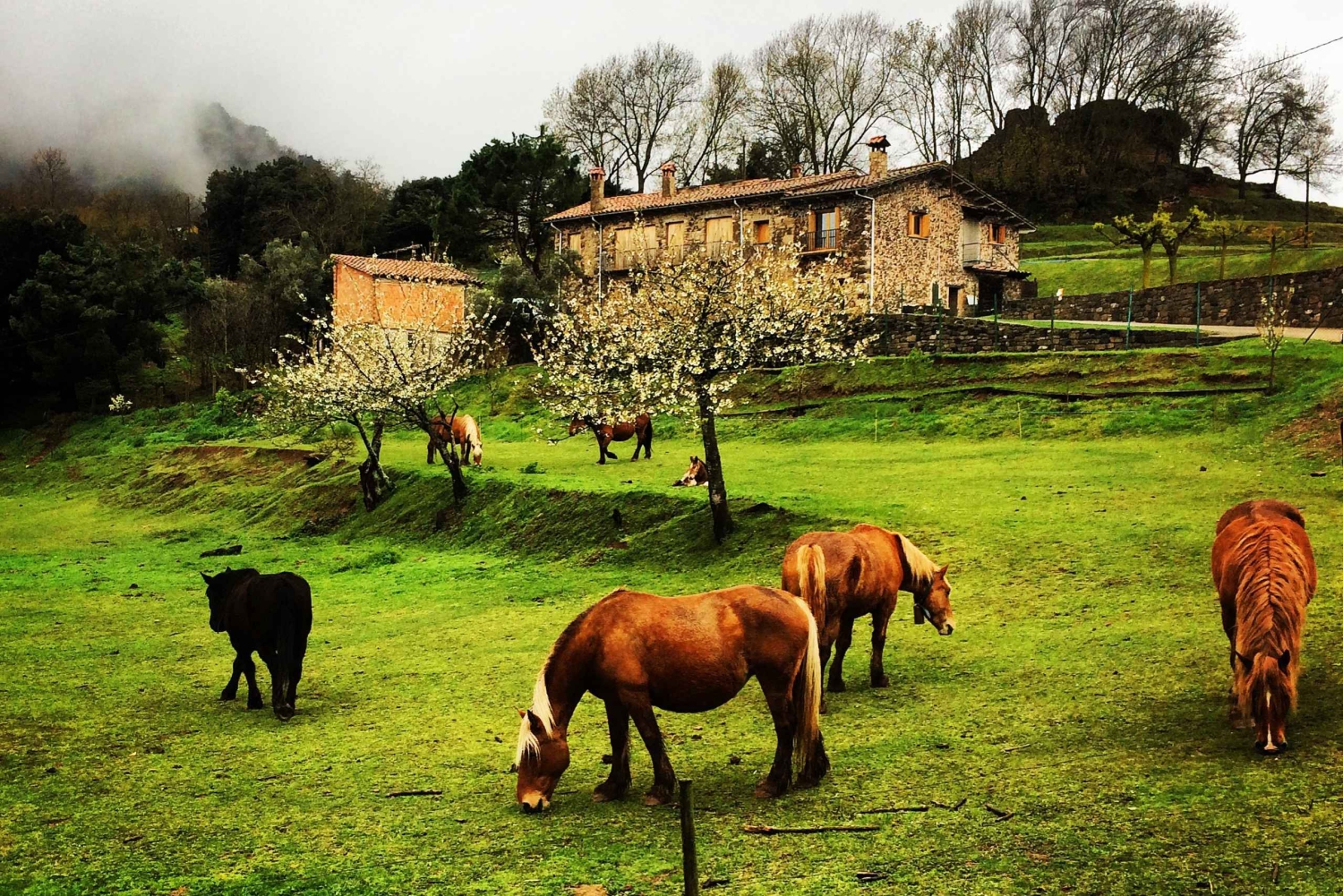 Da Barcellona: Villaggi medievali e tour a piedi dei vulcani