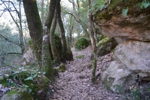 From Barcelona: Medieval Villages and Volcanic Hiking Tour