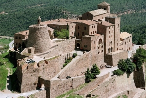 Da Barcellona: Escursione di un giorno a Montserrat, Cardona e Montagne del Sale