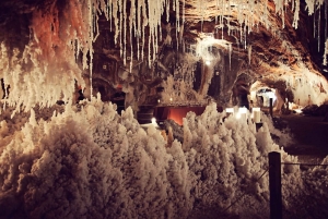 Da Barcellona: Escursione di un giorno a Montserrat, Cardona e Montagne del Sale