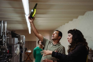 Fra Barcelona: Dagstur til Montserrat og vingården Cava