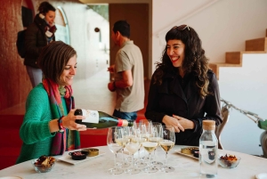 Fra Barcelona: Dagstur til Montserrat og vingården Cava