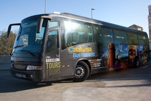 バルセロナ発：オプションチケット付きモンセラット日帰り旅行