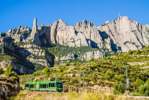 Fra Barcelona: Montserrat halvdagstur med guide