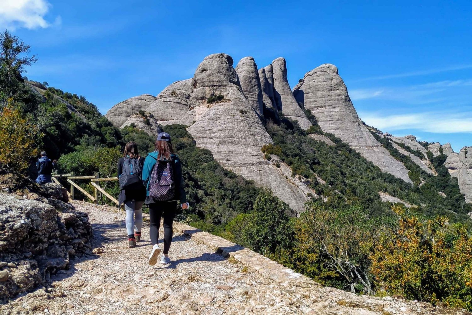 Depuis Barcelone : Randonnée panoramique et visite du monastère de Montserrat