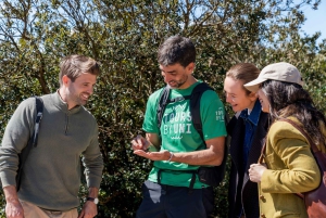 バルセロナから：モンセラート修道院と風光明媚な山のハイキング