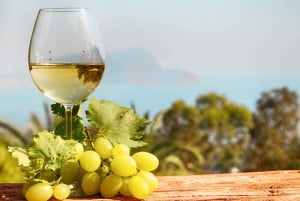 From Barcelona: Montserrat, Organic Winery Private Tour