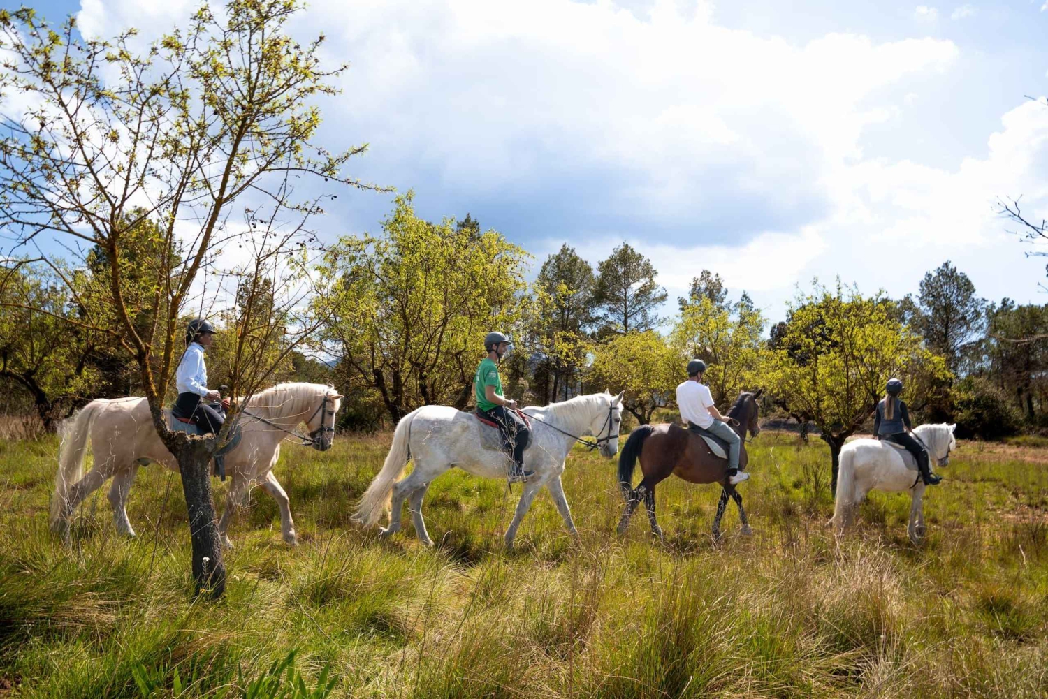 Desde Barcelona: tour a pie y a caballo por Montserrat