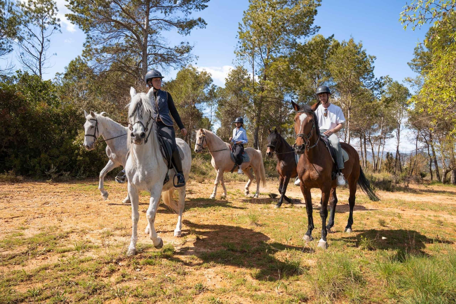 Desde Barcelona: tour a pie y a caballo por Montserrat