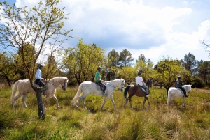 Desde Barcelona: tour a pie y a caballo por Montserrat