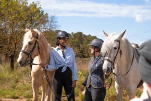 Desde Barcelona: tour a pie y a caballo por Montserrat