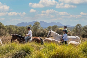 Desde Barcelona: tour a pie y a caballo por Montserrat
