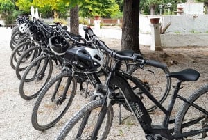 Fra Barcelona: Penedès E-Bike Tour med 2 vingårdsbesøg
