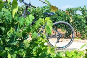 From Barcelona: Penedès E-Bike Tour with 2 Winery Visits