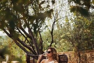 Barcelona: Premium vinsmagning på boutique-vingård og tapas