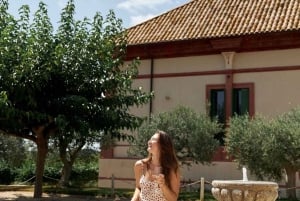 Barcelona: Premium vinsmagning på boutique-vingård og tapas