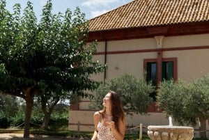 Barcelona: Premium vinsmagning på boutique-vingård og tapas