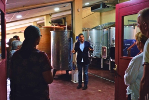 Da Barcellona: le esclusive cantine, i vini e la natura del Priorat